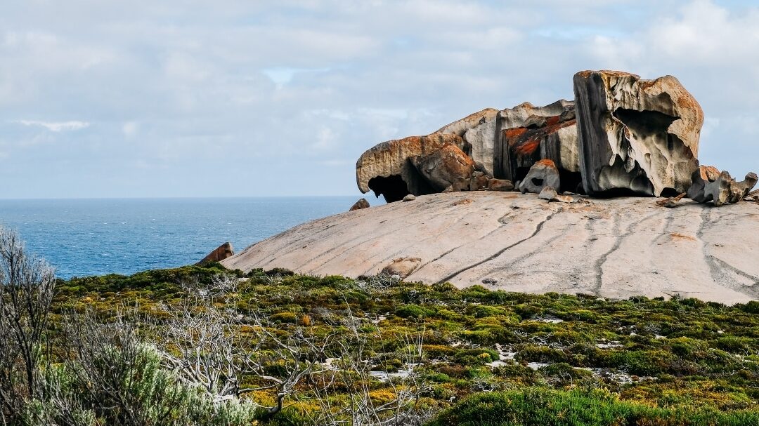Découverte de Kangaroo Island : un joyau sauvage d’Australie à explorer