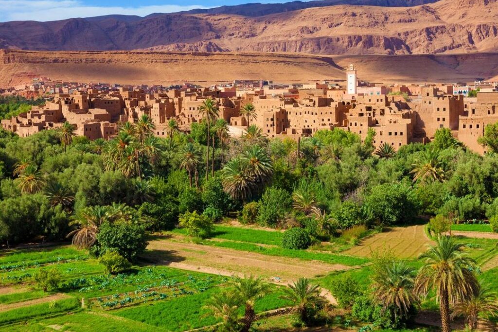 Découvrir les oasis les plus enchanteurs lors de vos voyages