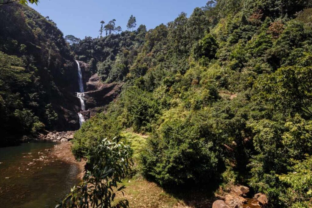 nuwara eliya : le joyau caché des hauts plateaux du Sri Lanka