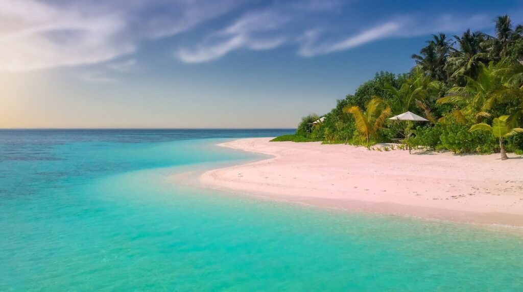 o voyage avis : est-ce la nouvelle référence pour planifier vos vacances ?