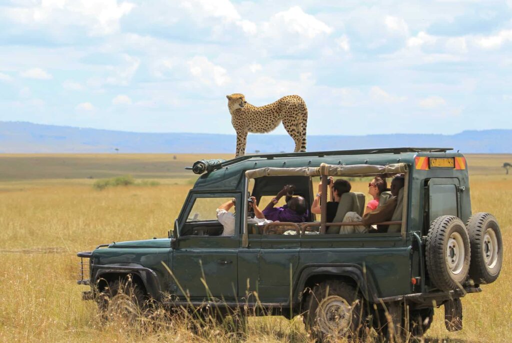 Quel est le coût d&rsquo;un safari au Kenya ?