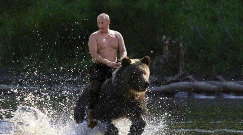La poutine sur un ours : mythe ou réalité ?