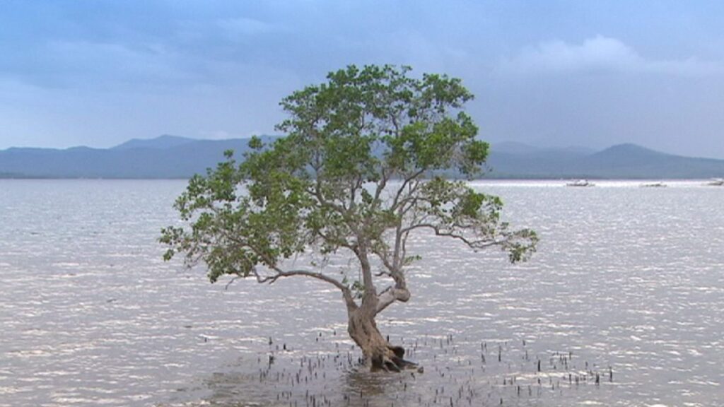 Découvrir palawan aux philippines : un paradis inexploré ?
