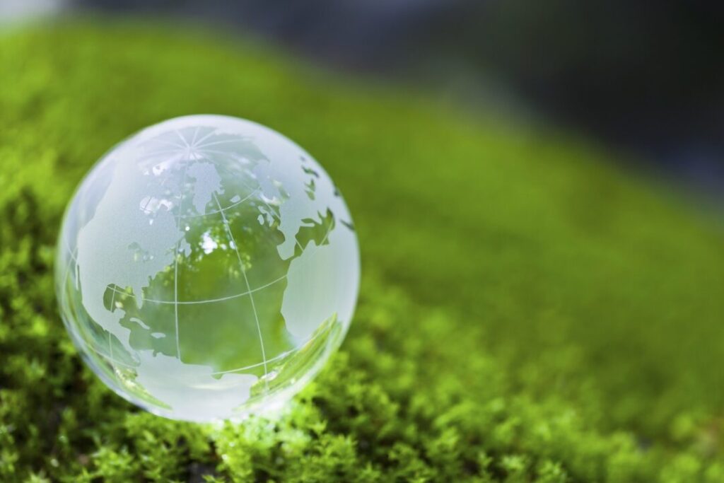 pourquoi atout vert horizon est votre partenaire idéal pour un avenir durable ?