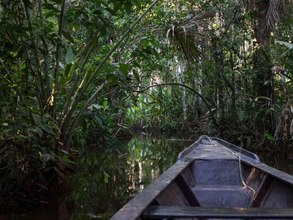 puerto maldonado : porte de l’amazonie péruvienne, que faire et voir ?
