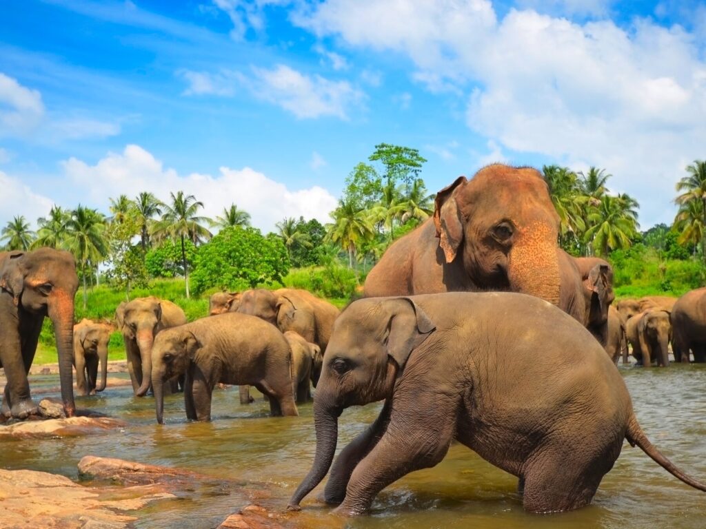 Le Sri Lanka est-il sûr pour les touristes en 2023 ? Risques et conseils de voyage