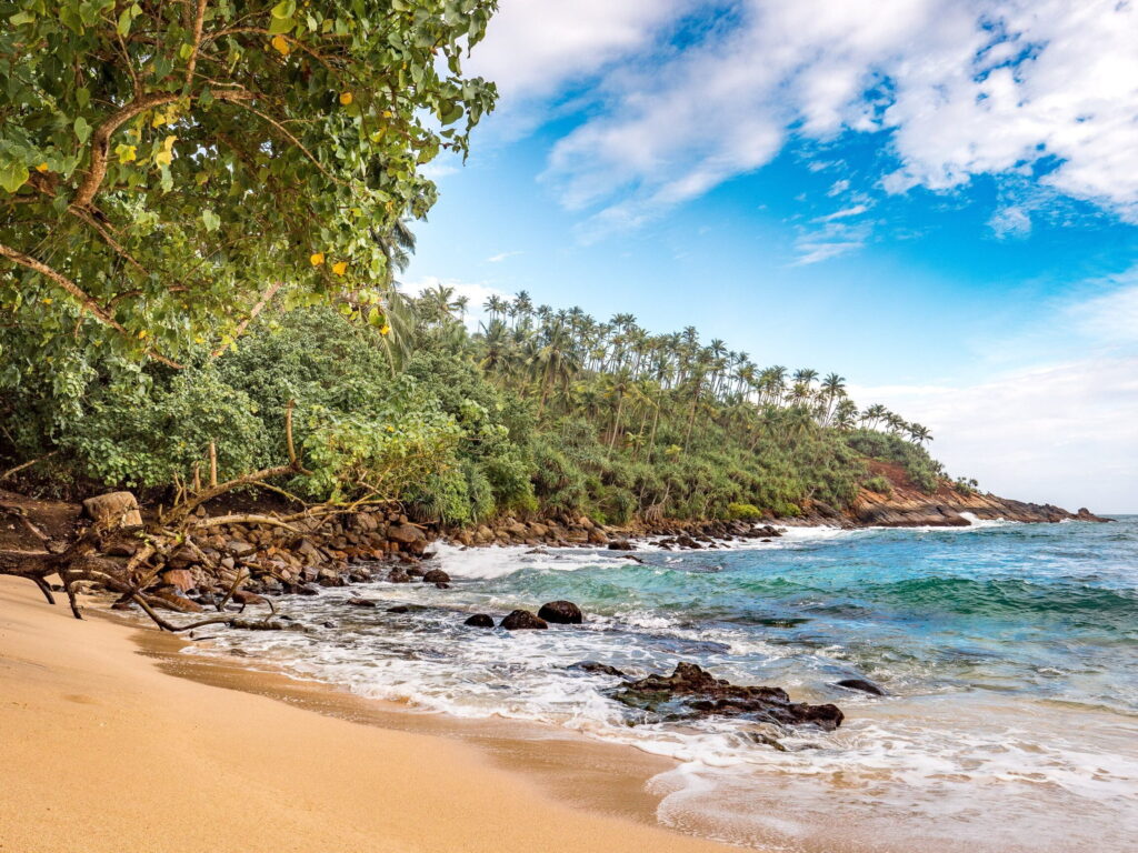 Mirissa, Sri Lanka : pourquoi ce petit paradis devrait être votre prochaine destination ?