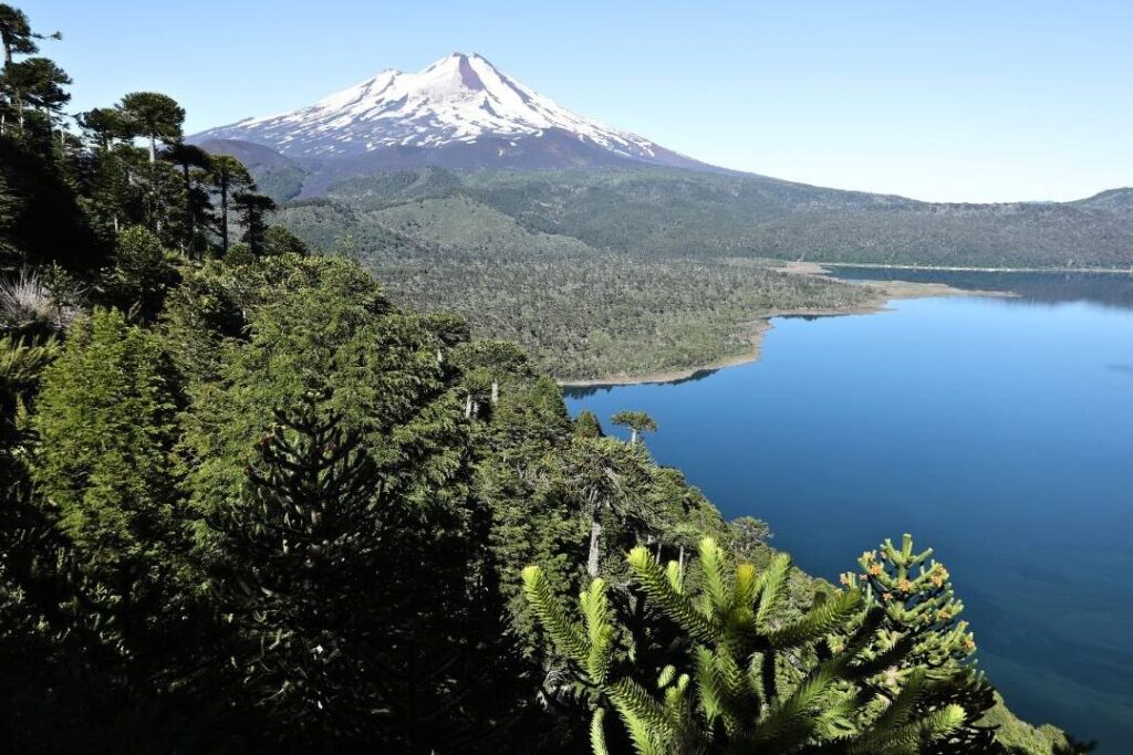 Découverte de Chiloé : un joyau insulaire du Chili à explorer