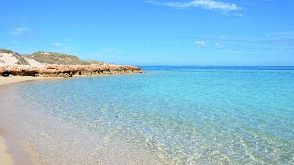 Plongée dans le Ningaloo Reef : un joyau caché d’Australie à découvrir
