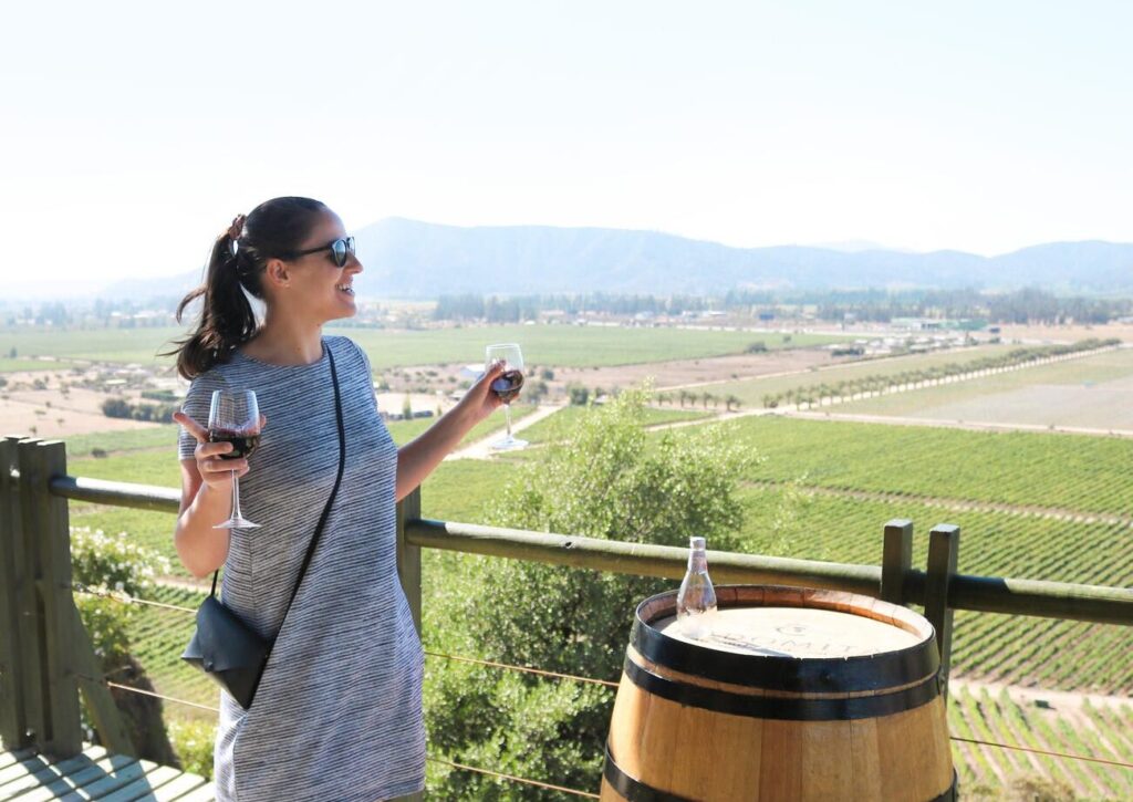 Quelle est la meilleure heure pour visiter les vignobles de Mendoza ?