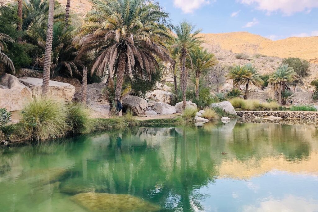 Salalah à Oman : découvrez le joyau caché du Moyen-Orient