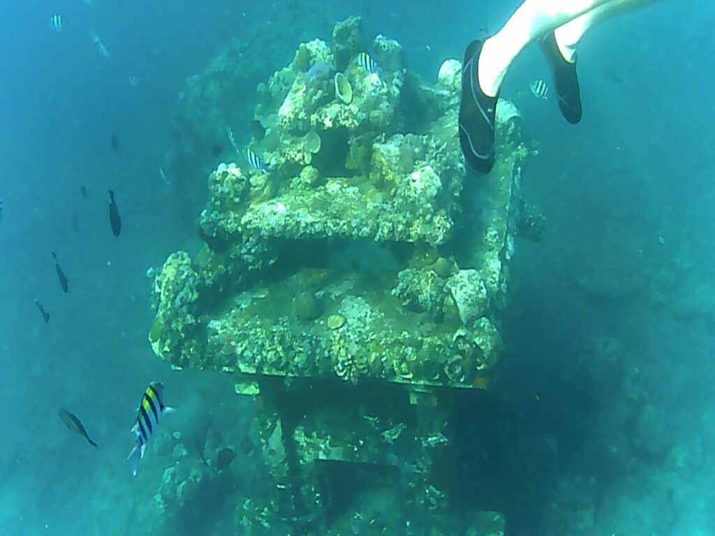 explorer les fonds marins de bali : où trouver les meilleurs spots de snorkeling ?