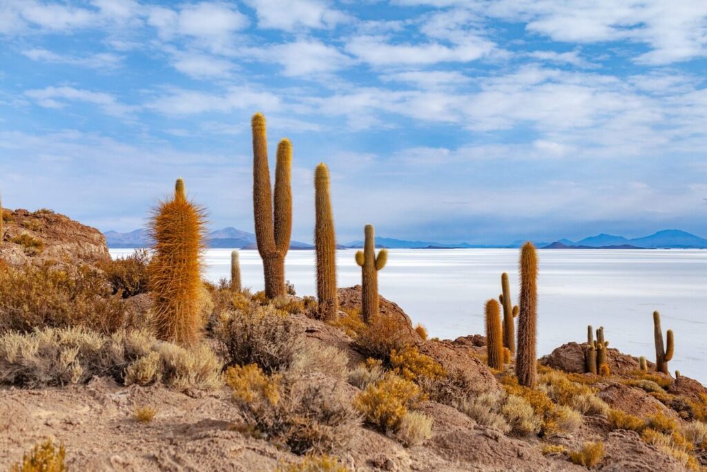 Découverte de Copacabana en Bolivie : entre spiritualité et paysages époustouflants