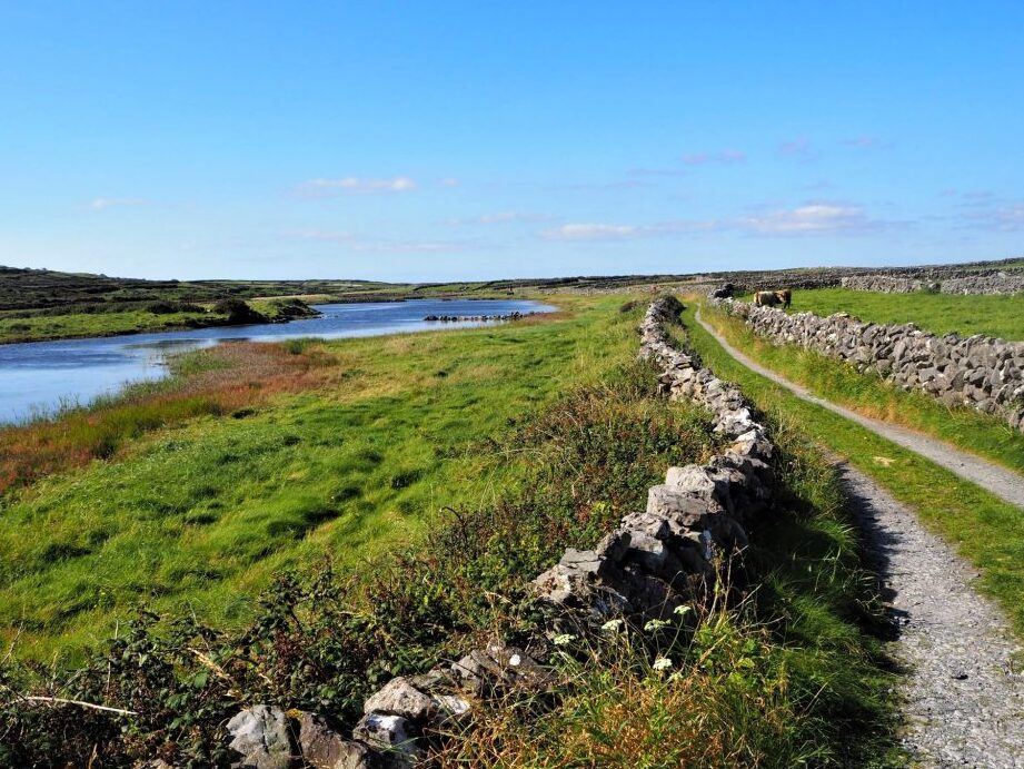 Découvrez les îles d’Aran: un trésor caché de l’Irlande