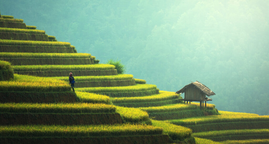 Évitez ces erreurs au Vietnam: conseils pour un voyage respectueux et sans faux pas