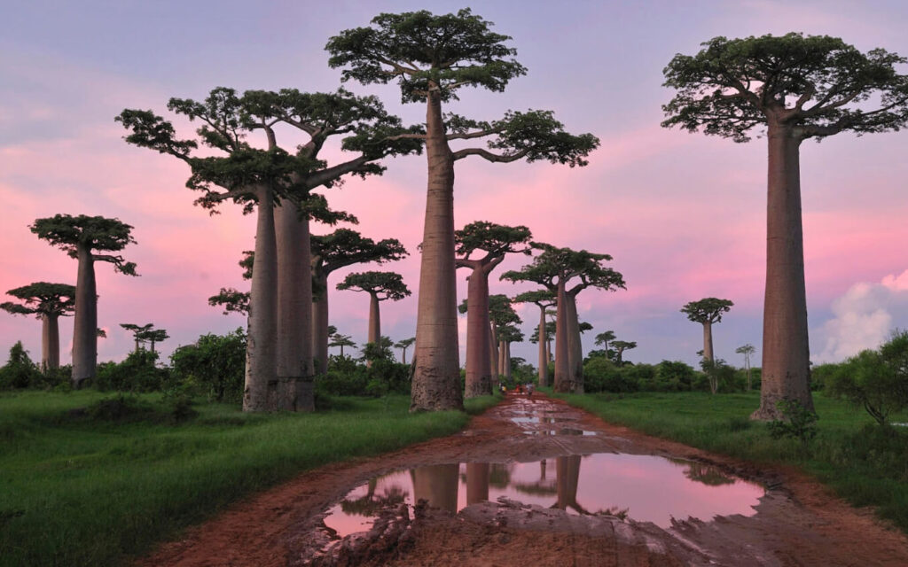 Quelles sont les villes incontournables à visiter à Madagascar ?