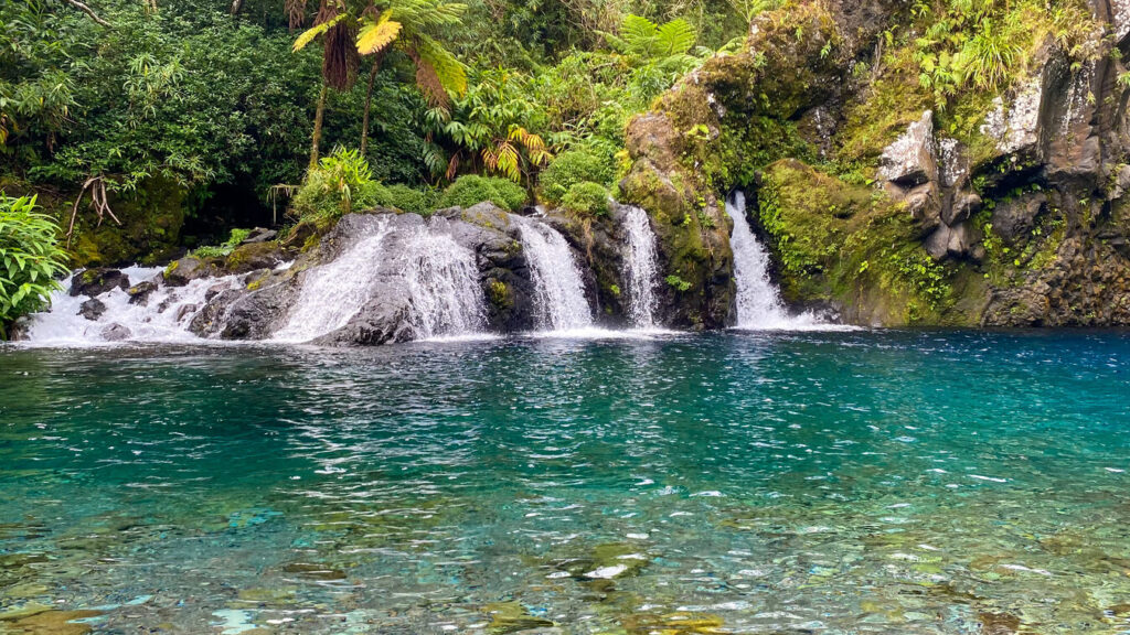 Découverte des cascades incontournables de La Réunion