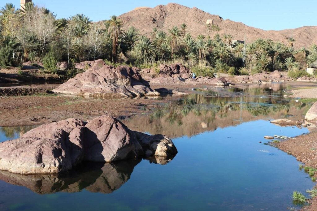 Sun City en Afrique du Sud : l’oasis de luxe est-elle à la hauteur de sa réputation ?