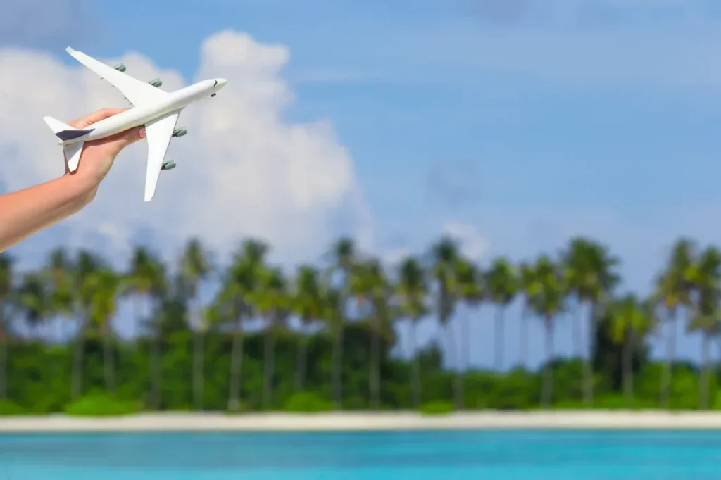 Vol Martinique-Guadeloupe : tout ce que vous devez savoir avant de réserver