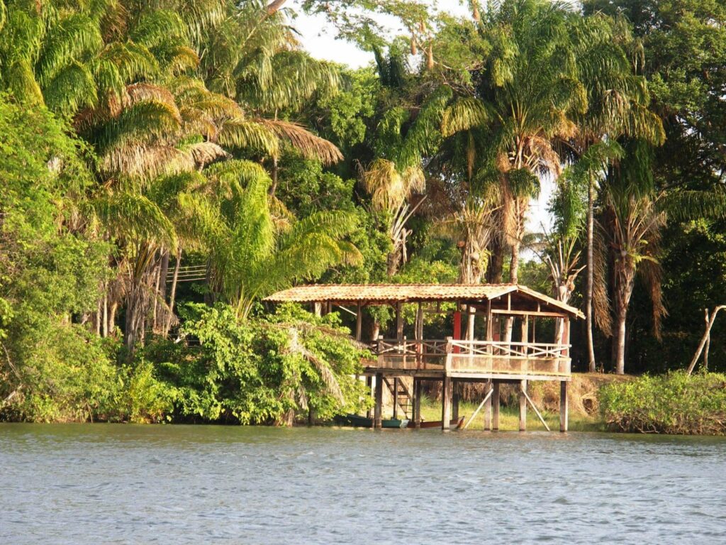 Manaus, porte de l’Amazonie : découvrez ses secrets et attraits touristiques