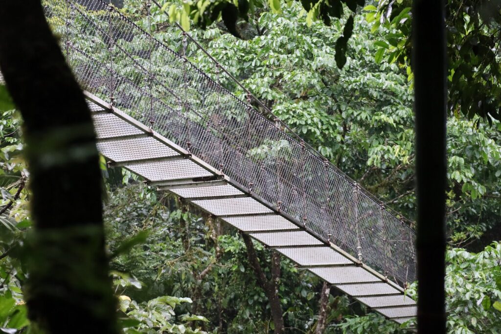 Avis et témoignages sur la visite guidée des ponts suspendus du Mistico Park à La Fortuna : faut-il y aller ?