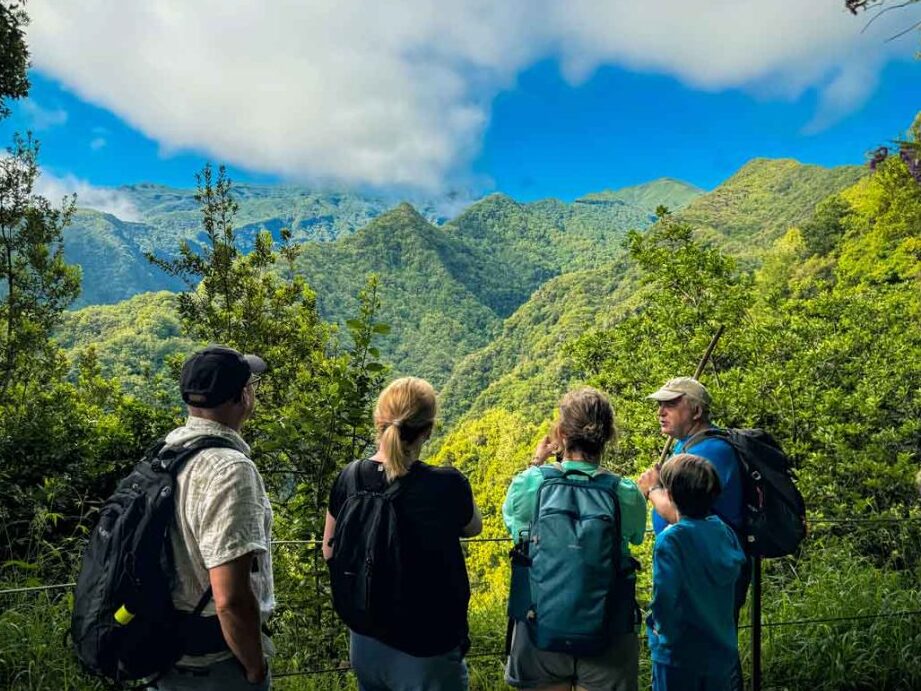 Levada Madère : votre guide ultime pour une randonnée inoubliable