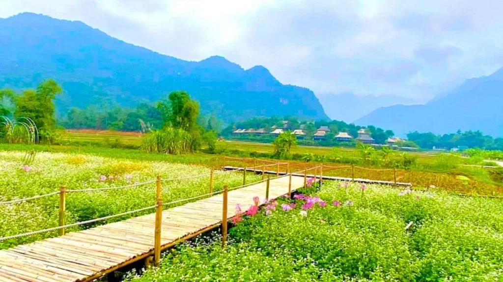 Mai Chau : une escapade nature loin du tumulte de Hanoi