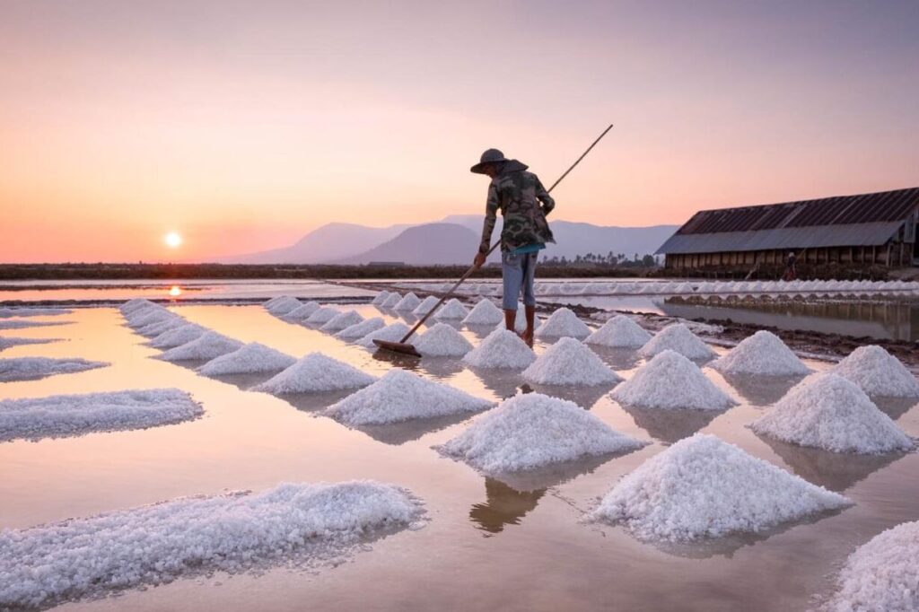 Pourquoi Kampot au Cambodge est la destination incontournable pour les amateurs de poivre et de nature ?
