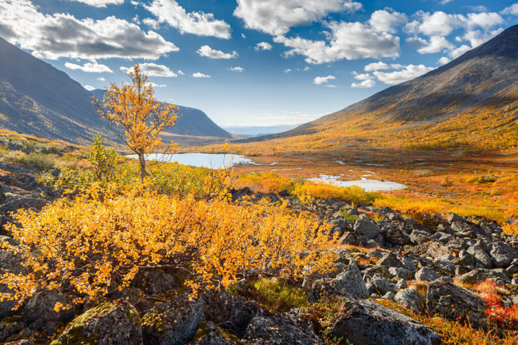Que faire à Mourmansk en 3 jours pour un séjour inoubliable ?