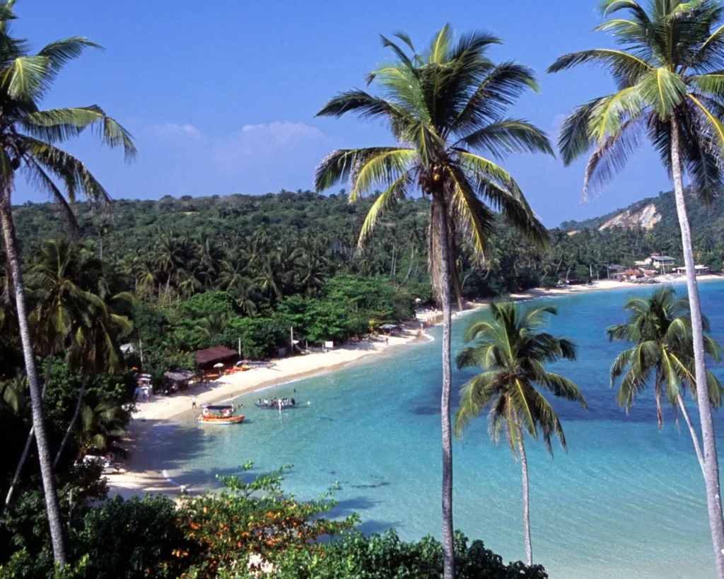 Unawatuna : pourquoi cette plage du Sri Lanka devrait être votre prochaine destination ?