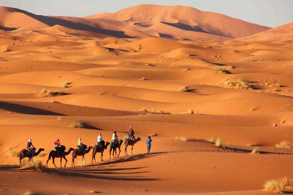 Découvrir le désert de Merzouga : une immersion dans les dunes du Maroc