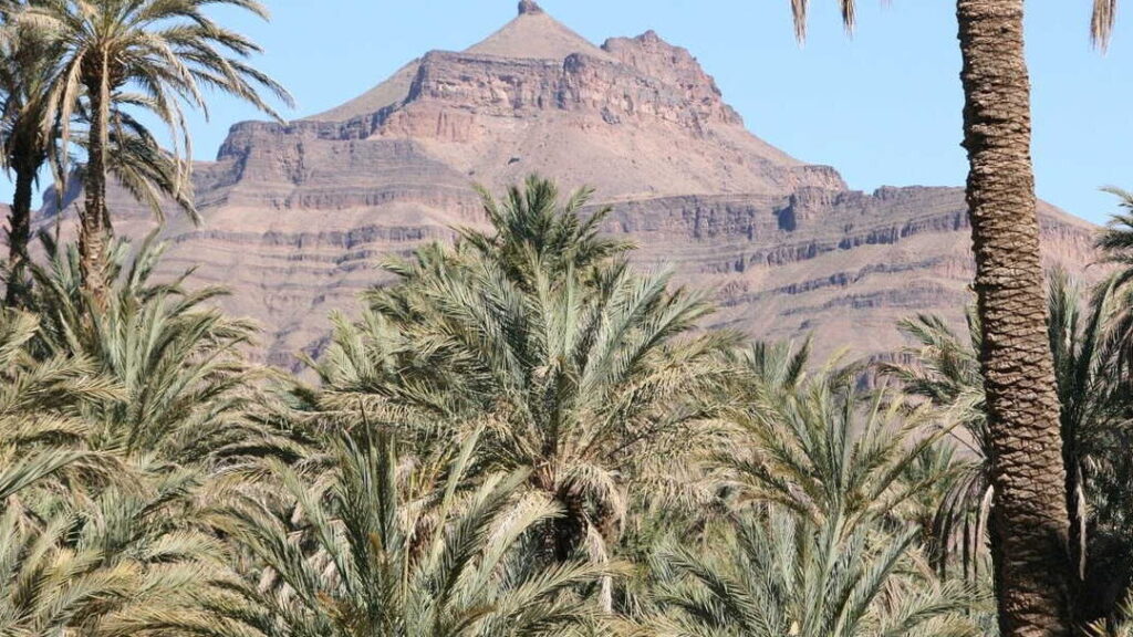 Tafilalet, joyau méconnu du Maroc : que découvrir dans cette oasis préservée ?