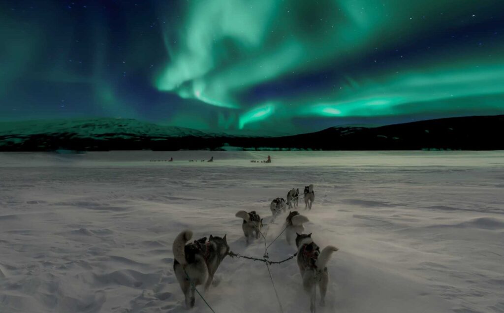 Tout savoir sur la culture des peuples autochtones du cercle arctique