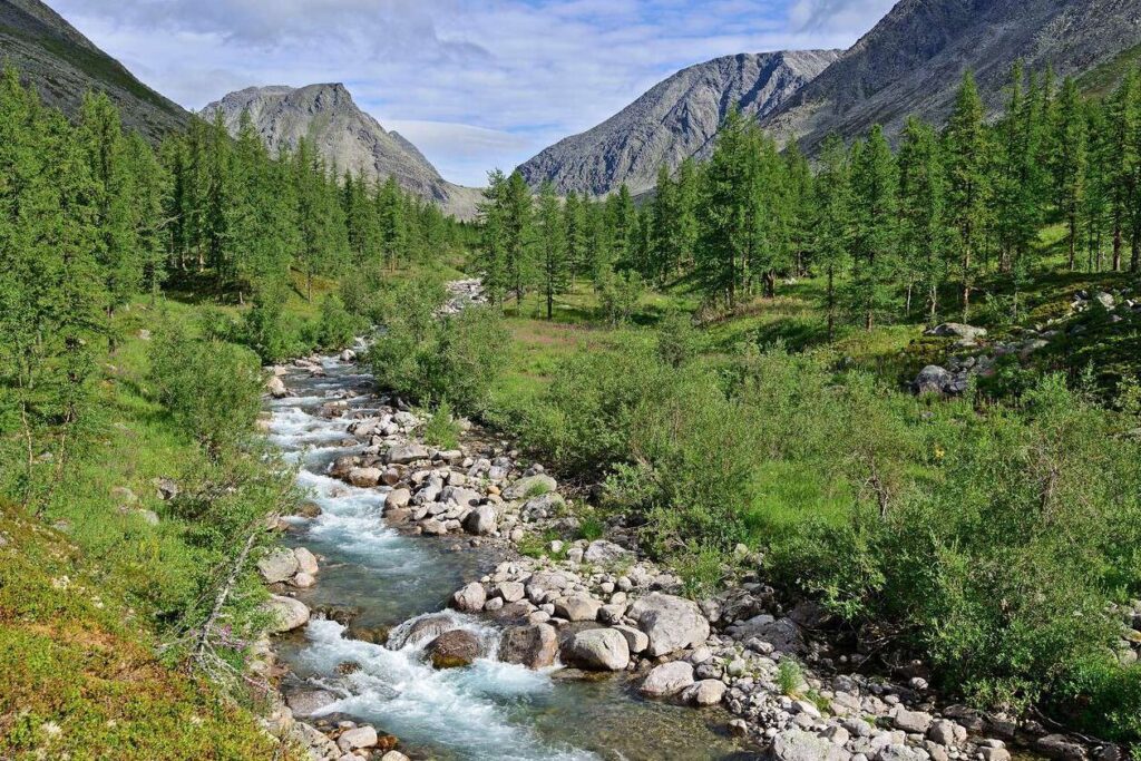 Visiter Petrozavodsk en 3 jours : nature et culture au cœur de la Carélie