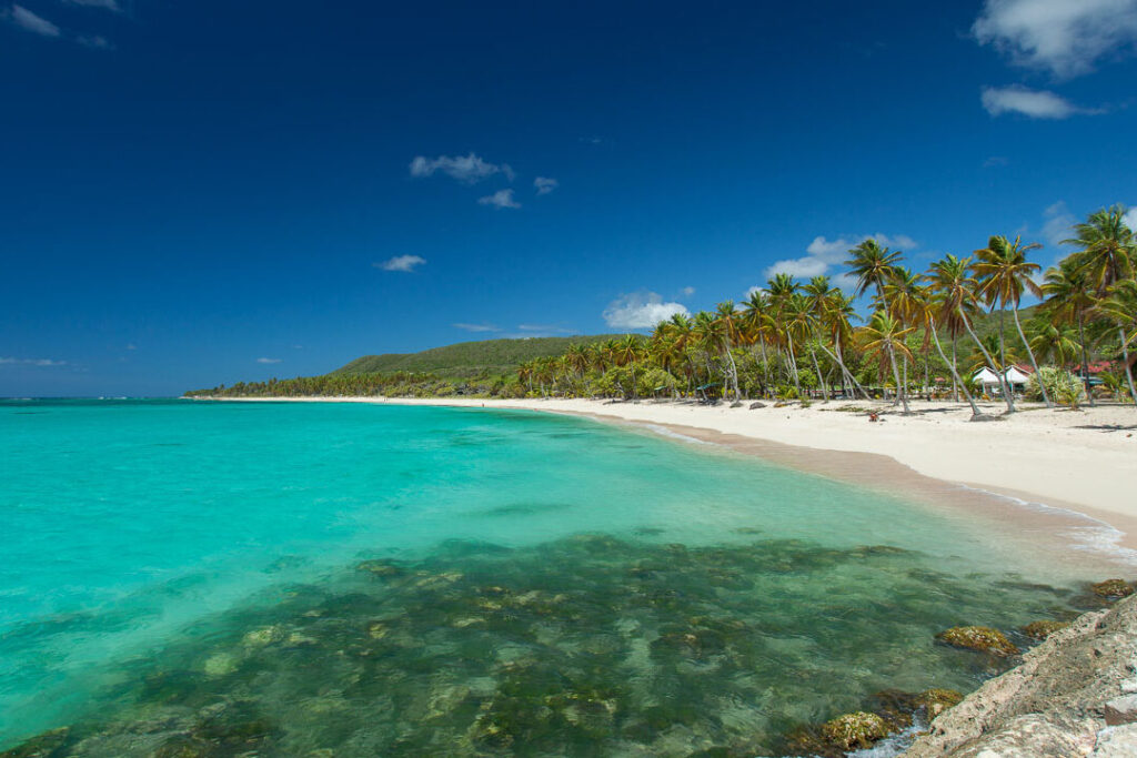 Découverte de Sainte-Marie en Guadeloupe : Un paradis caché aux Caraïbes