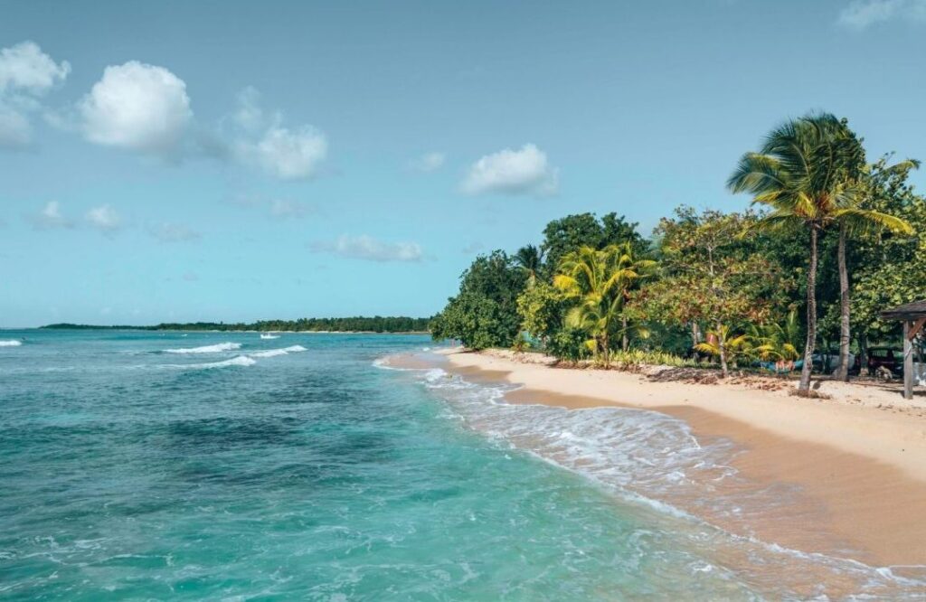 Qu’est-ce que le numéro 230 peut révéler sur votre prochaine destination de voyage ?