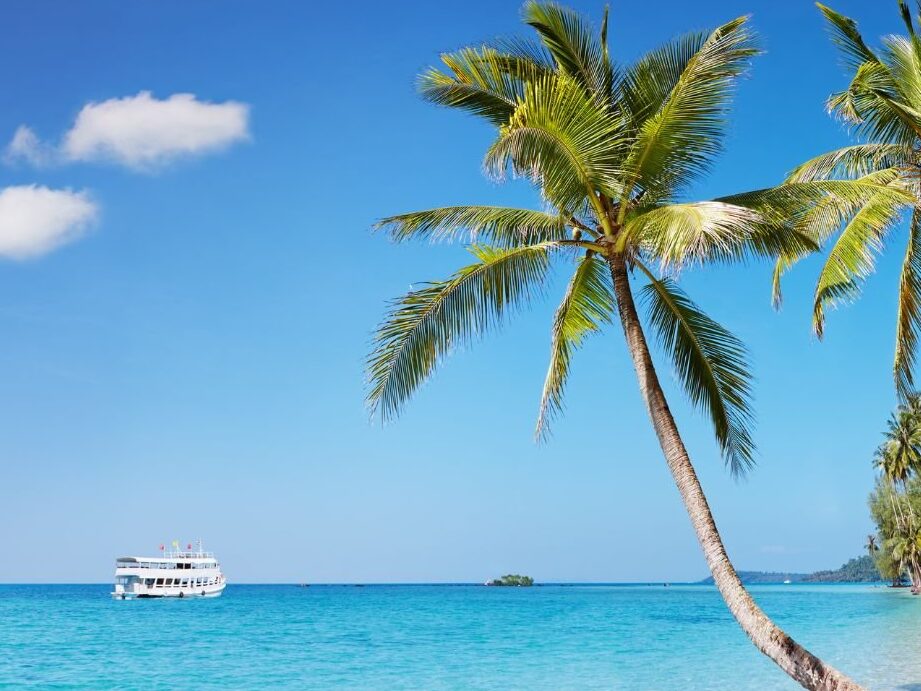 Thaïlande en novembre : est-ce le moment idéal pour découvrir le pays des sourires ?